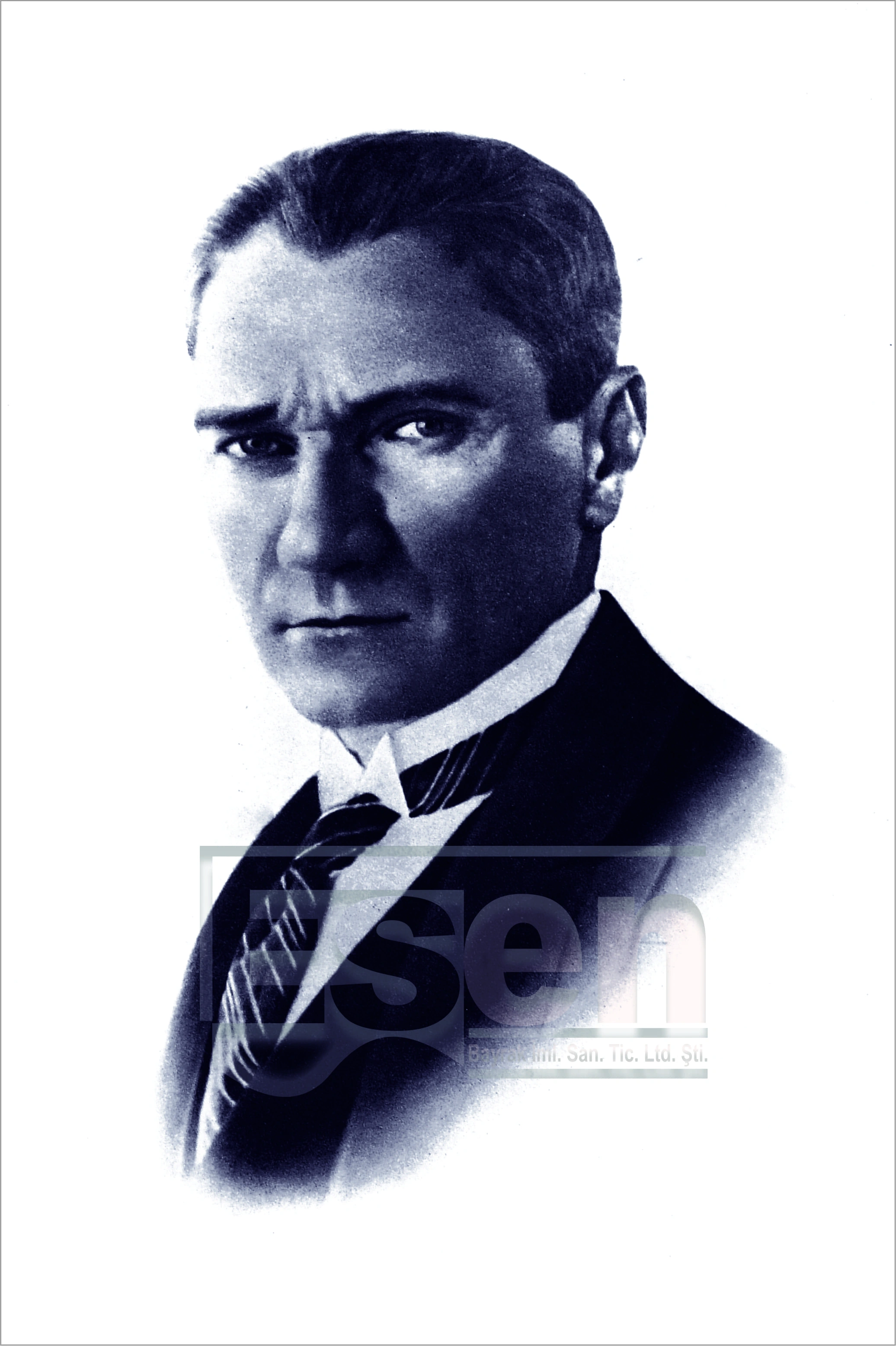Atatürk Posterleri
