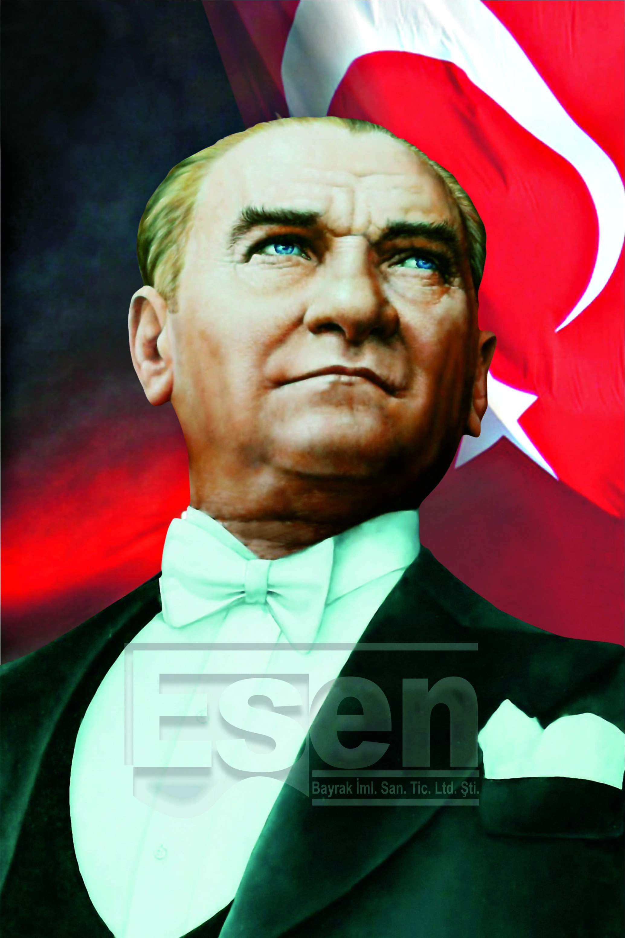 Atatürk Posterleri