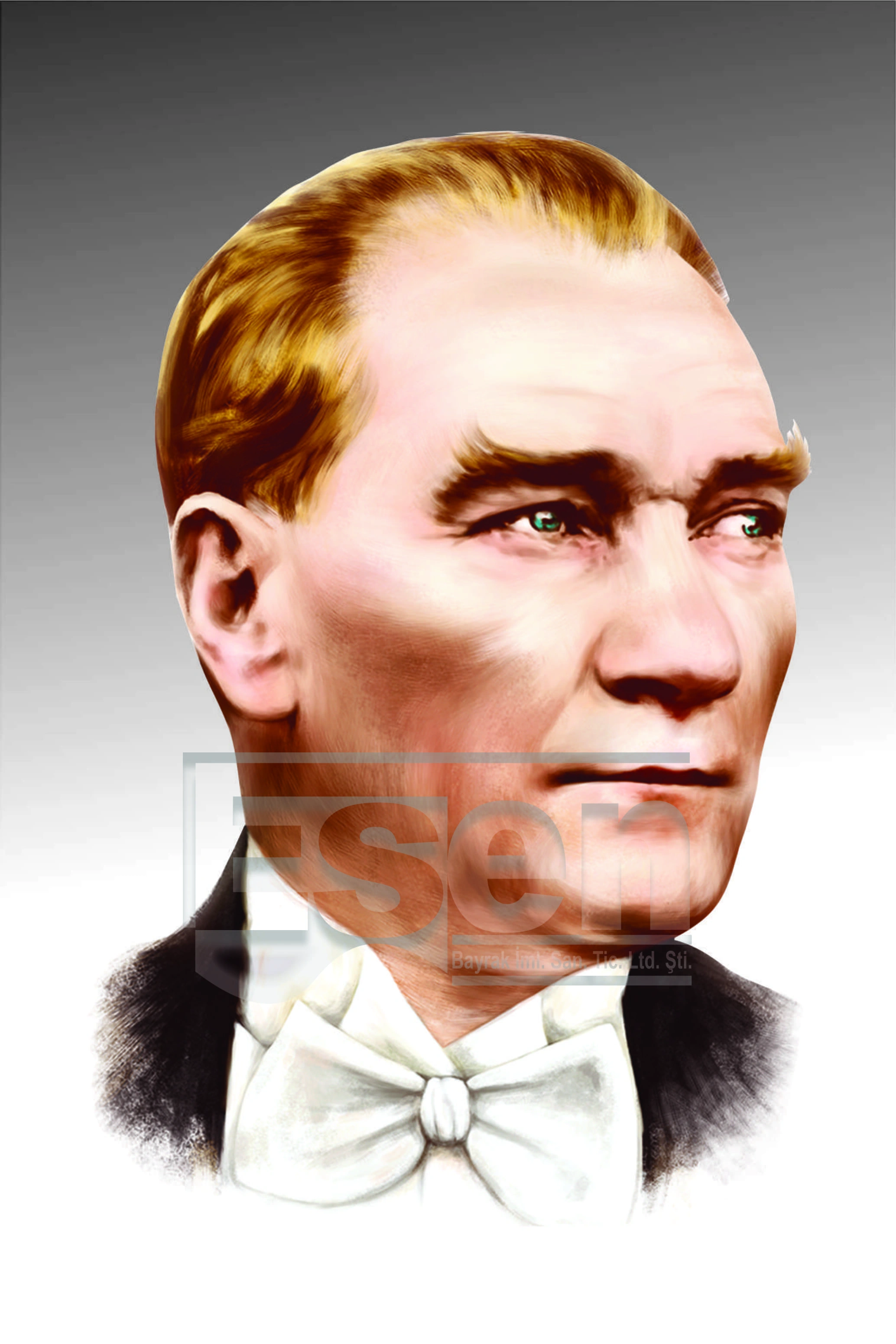 Atatürk Posterleri