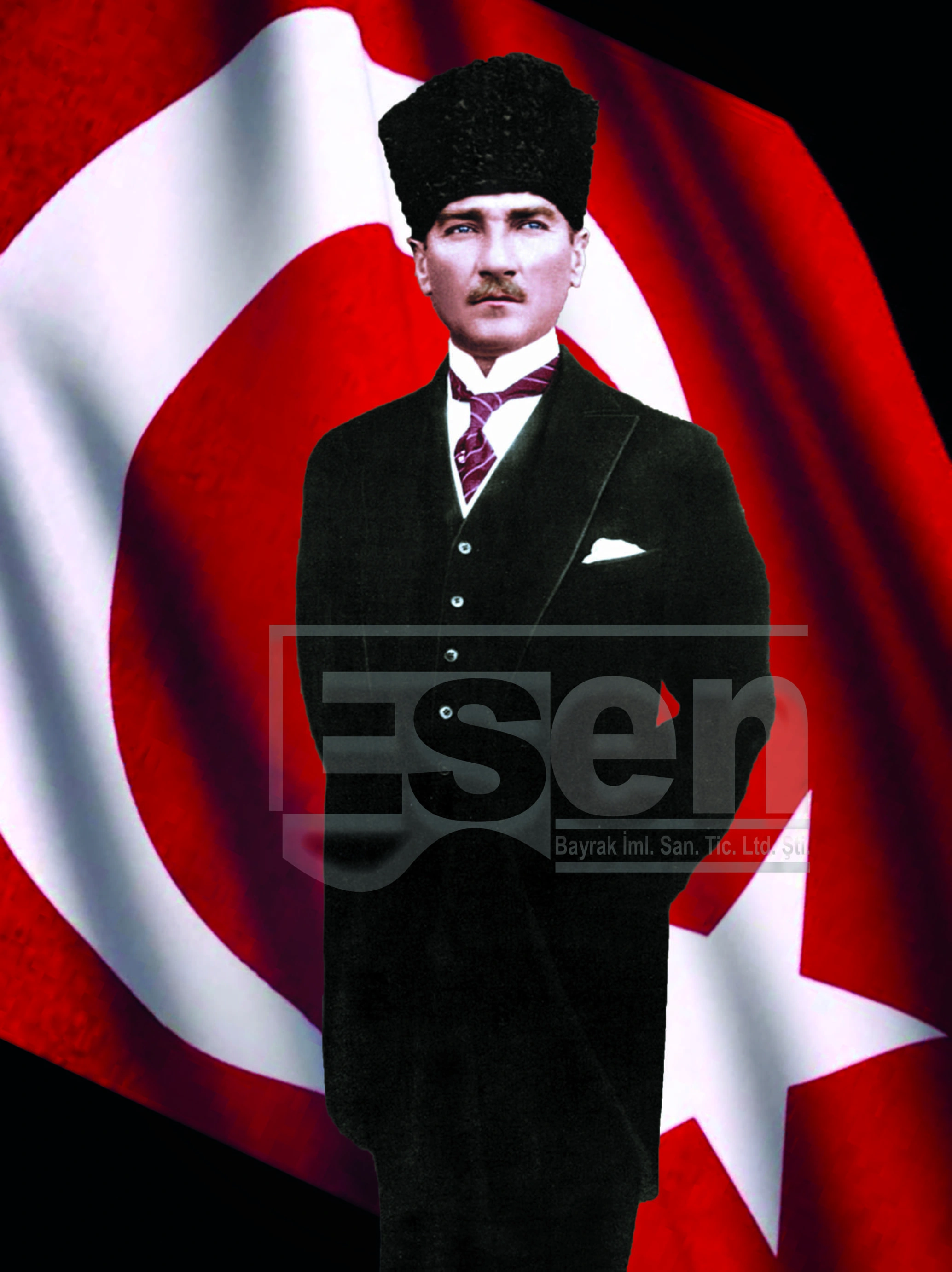 Atatürk Posterleri