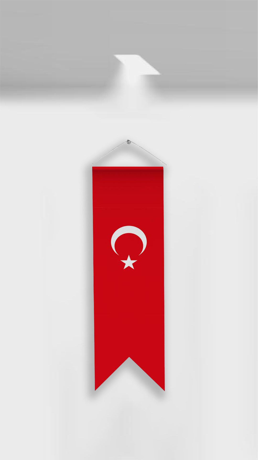 Kırlangıç Bayrak