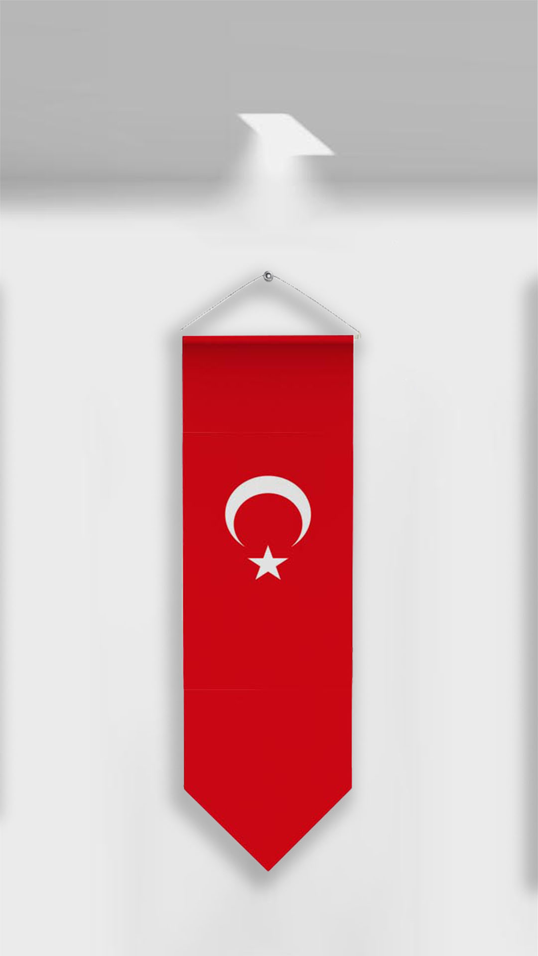 Kırlangıç Bayrak